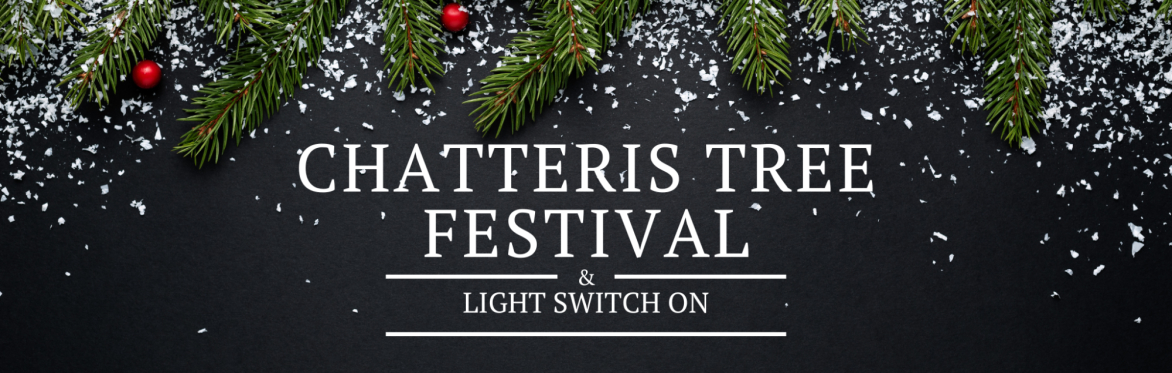 Chatteris Lights and Tree Festival