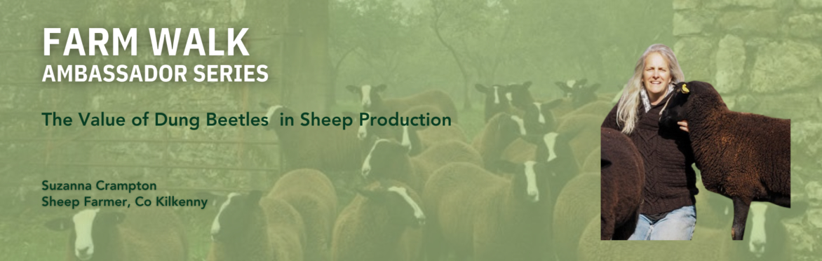 Farming For Nature walk with Suzanna Crampton July (Co. Kilkenny)