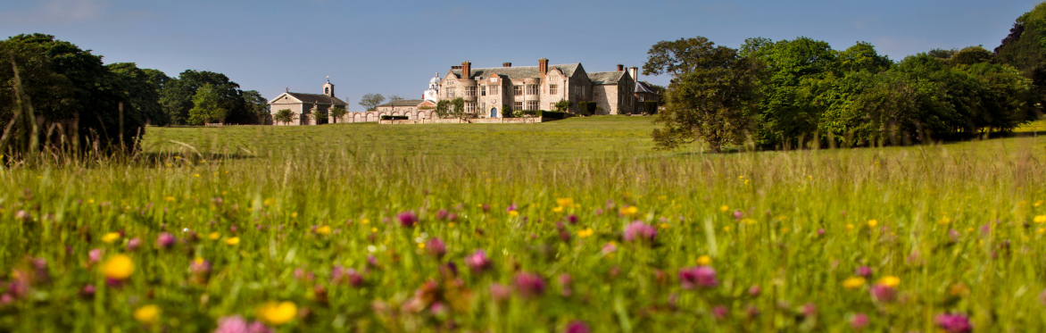 Glynde Place Collections Highlights