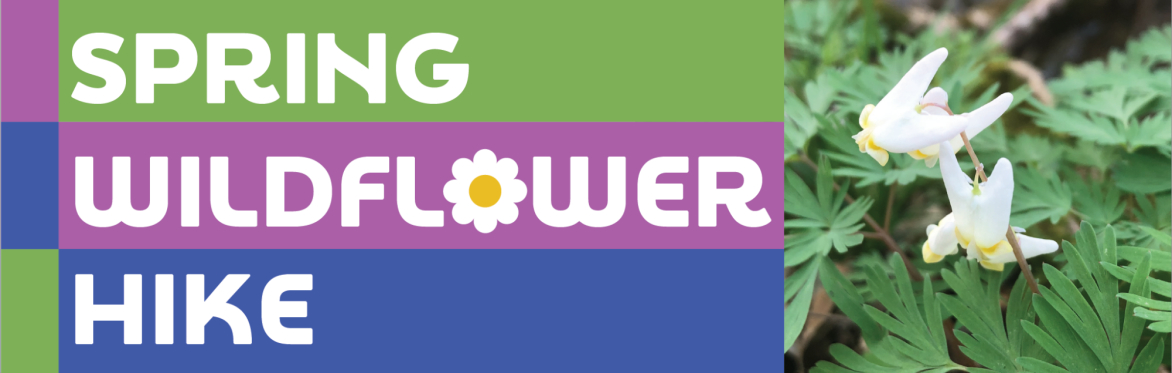 Spring Wildflower Hike: Lewis Township