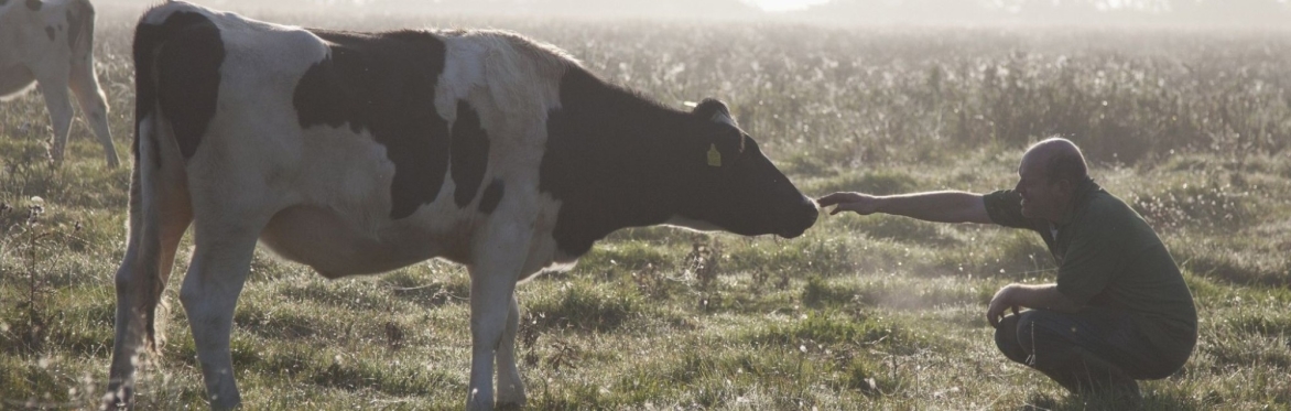 Farm trip to Hook & Son's organic raw milk dairy farm