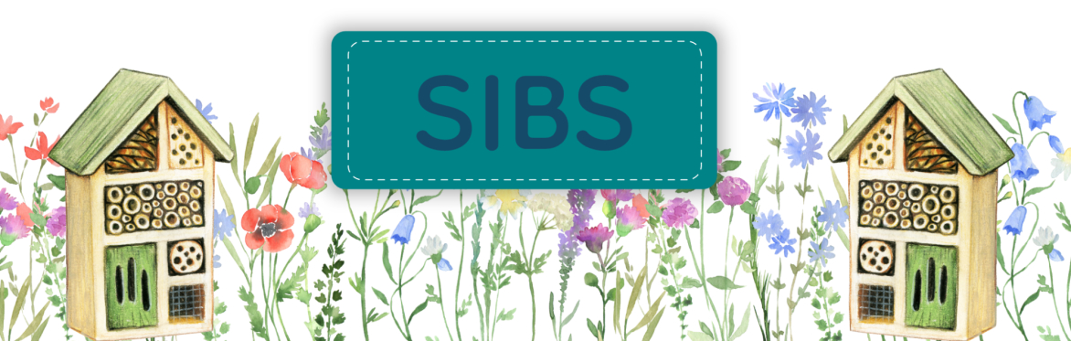 Sibs Club - Bug Hotel and Flower Pot.