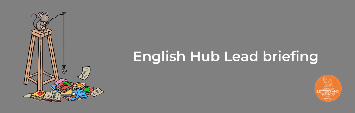 Hub Lead Briefing