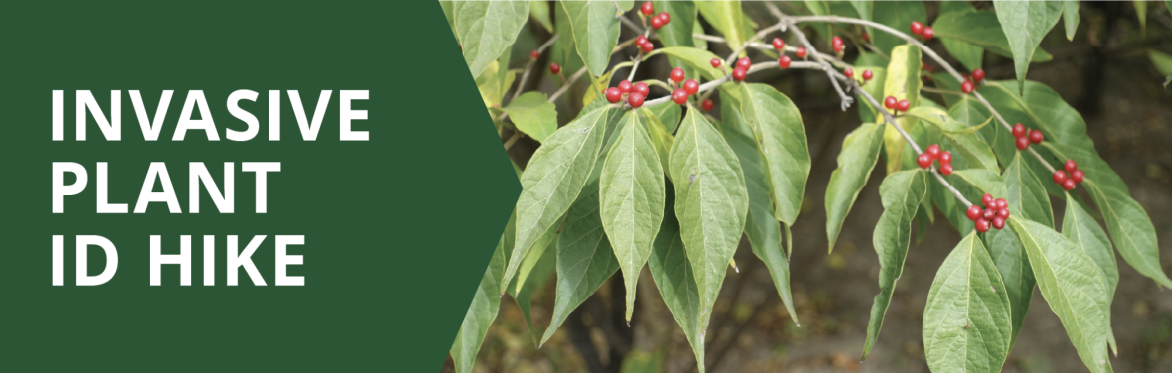 Invasive Plant ID Hike