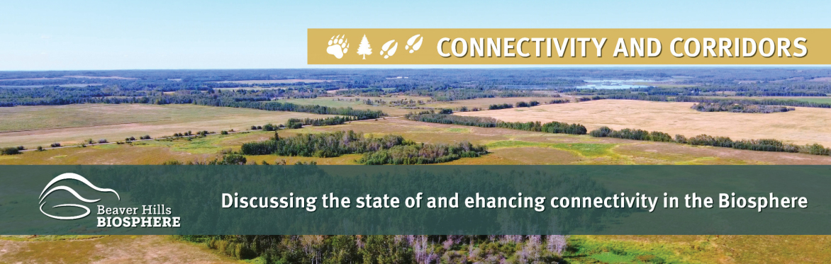 Connectivity and Corridors Workshop
