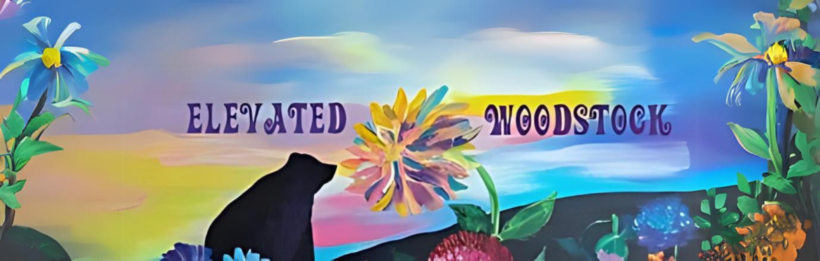 Elevated Woodstock - Sponsor