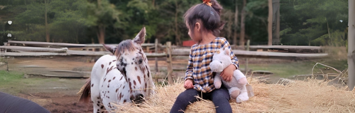 Wild Kid Acres 5-Year Anniversary Celebration