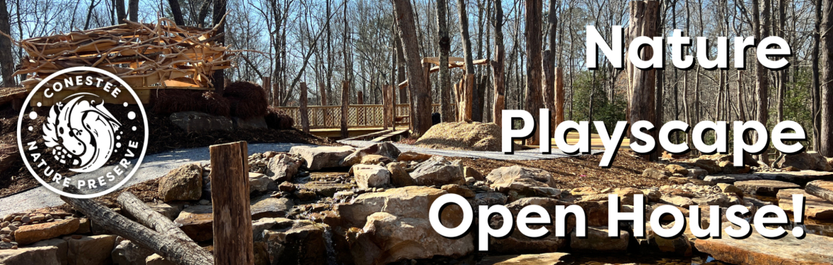 Playscape Open House
