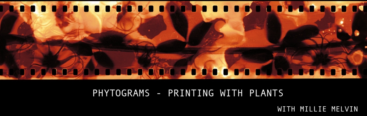 Phytograms - Printing with Plants