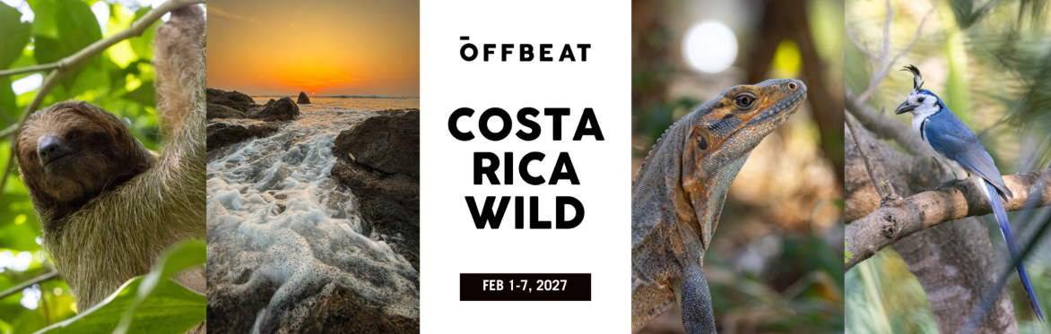 Costa Rica Wild