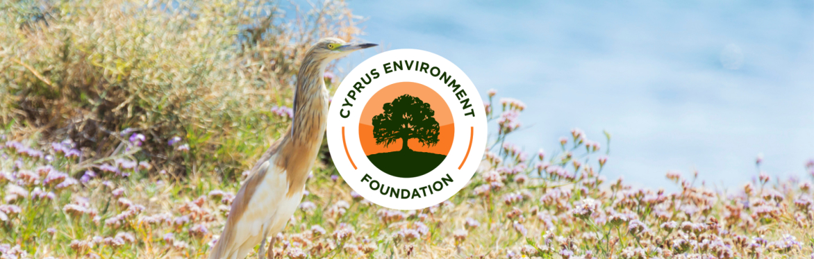 Cyprus Environment Foundation Dinner