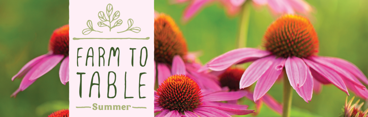 Farm To Table: Summer Dinner
