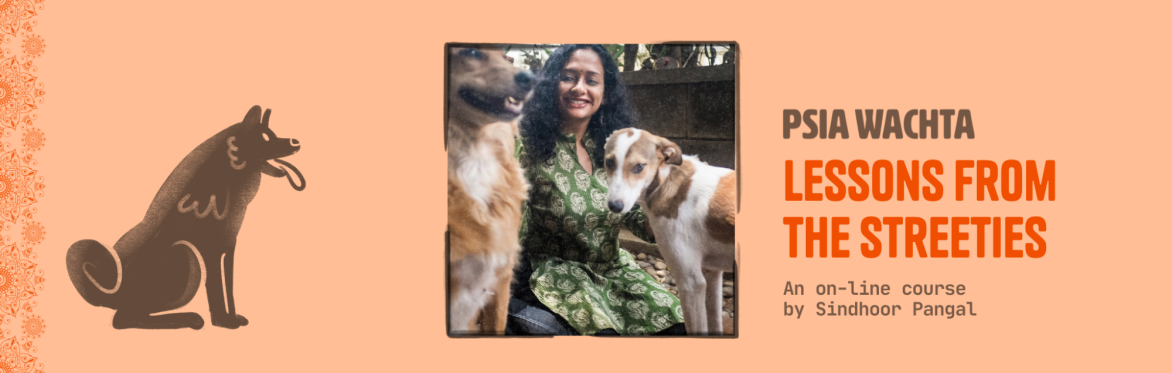 Lessons from Streeties of India, Sindhoor Pangal