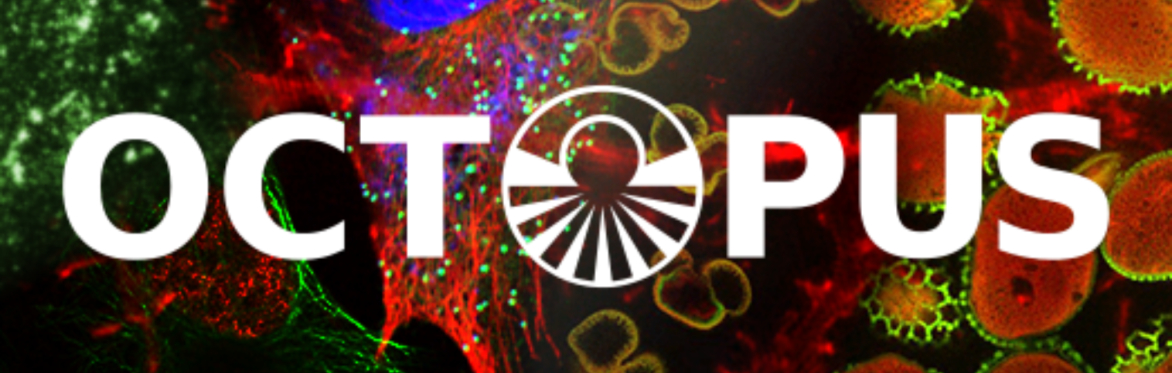 STFC Central Laser Facility Workshop on Biological imaging and analysis