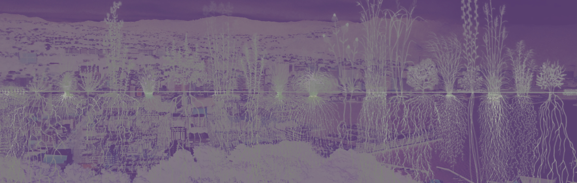 Build Sprint: Pōneke Climate Hub x Critical Signals x two/fiftyseven