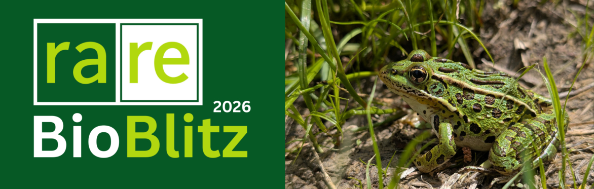 BioBlitz 2026