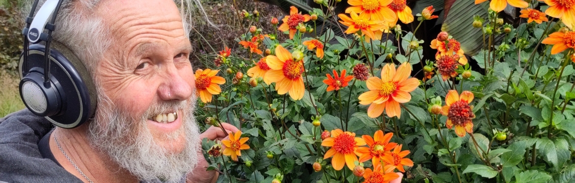 Creating Music with Plants and Fungi – a Conversation Between Two Biogenic Composers