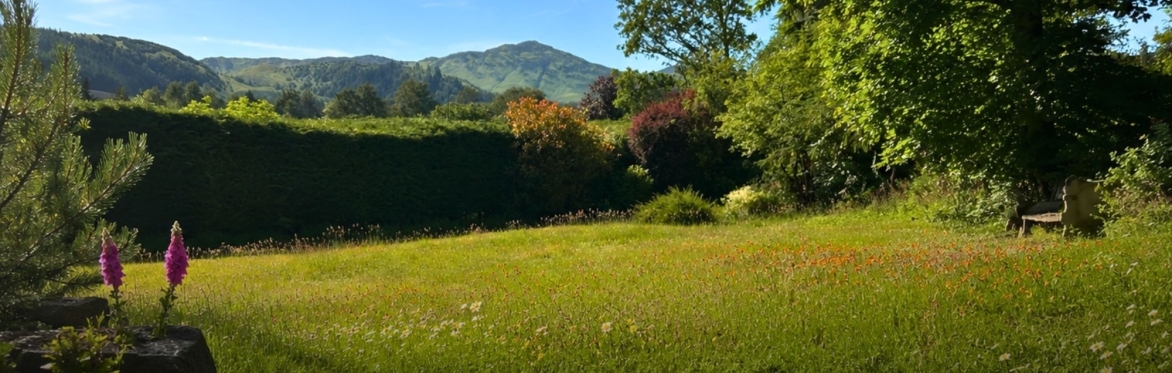 Sound Journey in Nature