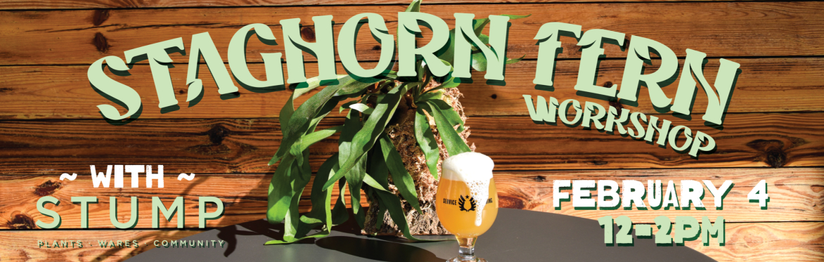 Staghorn Fern Mounting Workshop with Stump Savannah