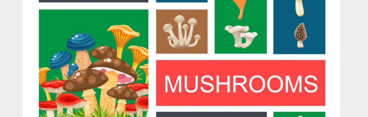 Fairy Rings and Magic Mushrooms: An Introduction to Mushroom Identification and Mystical Connections