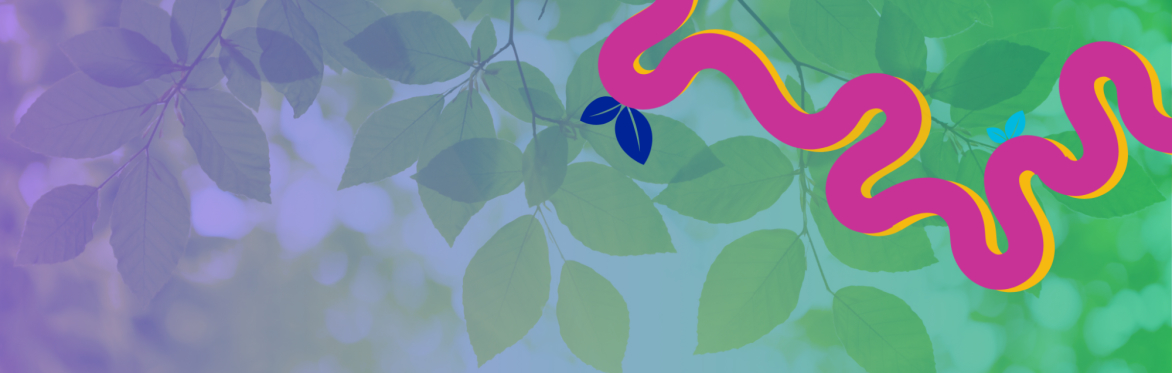 Cool, calm and connected: Mental health in a changing climate