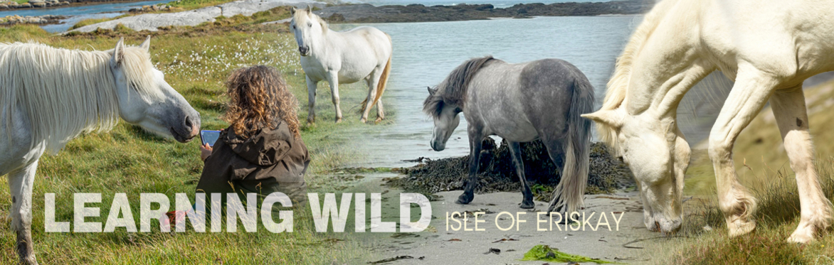 Learning Wild: Eriskay