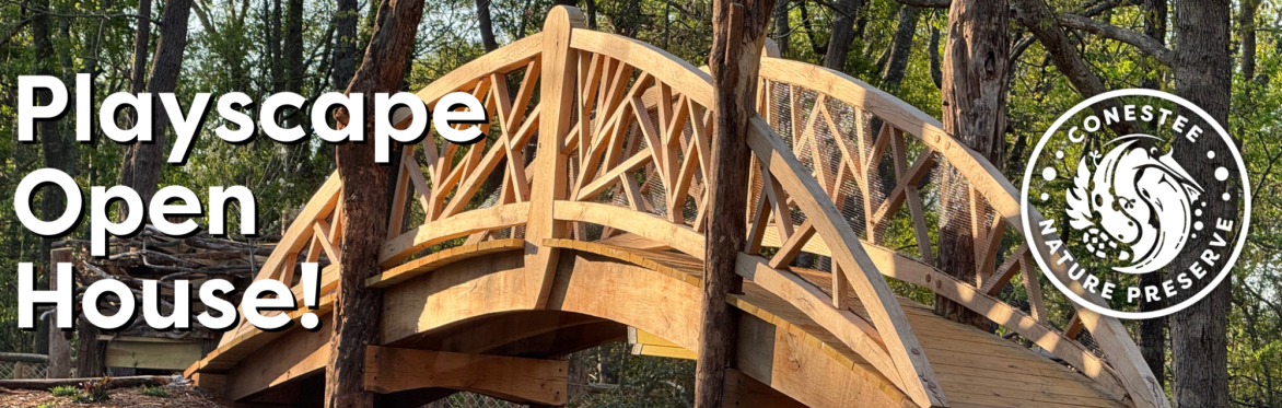 Playscape Open House - Build It!