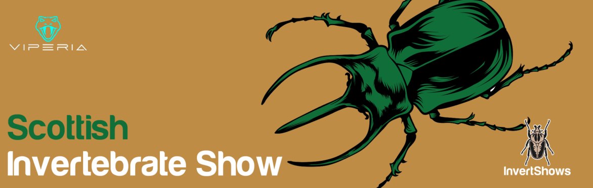 Scottish Invertebrate Show 2026
