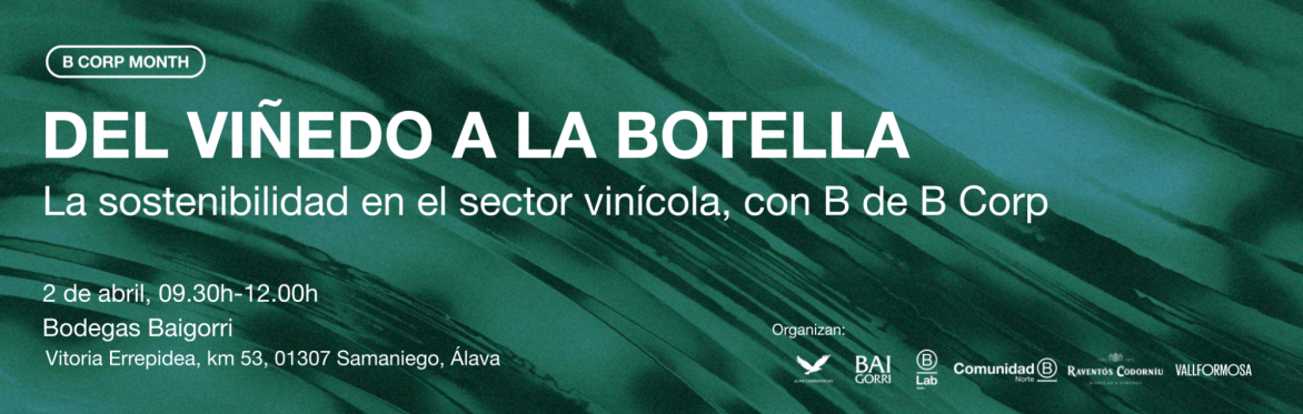 Del viñedo a la botella: la sostenibilidad en el sector vinícola, con B de B Corp (ENTRADA PARA EMPRESAS B CORP)