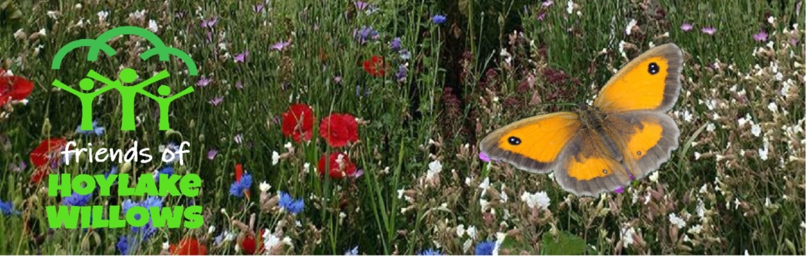 Walk Two --  Led by Dave Costello at New Ferry Butterfly Park, New Ferry