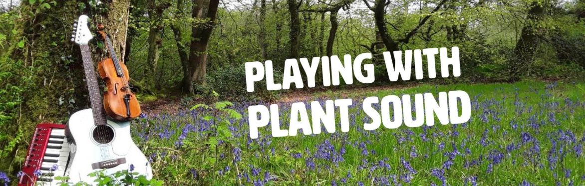 Playing with Plant Sound: a workshop for young musicians