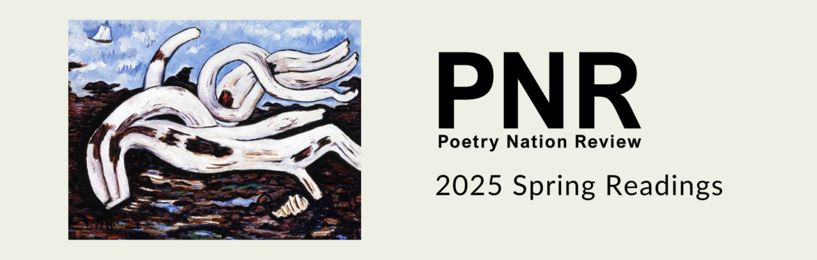 A white blue brown drawing of a shape on a beach beside the text PNR 2025 Spring Readings