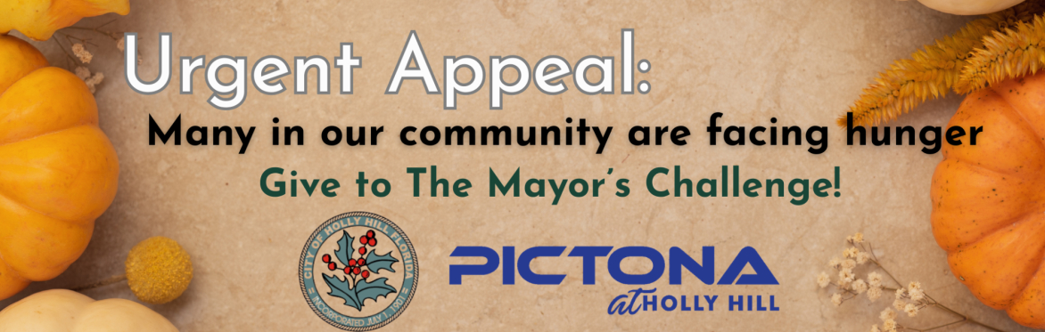 Urgent Appeal: Holly Hill announces the Mayor's Challenge