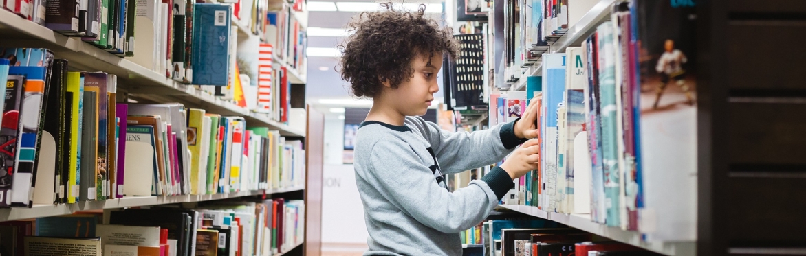 Rallye littéraire dans la Bibliothèque - 10 h