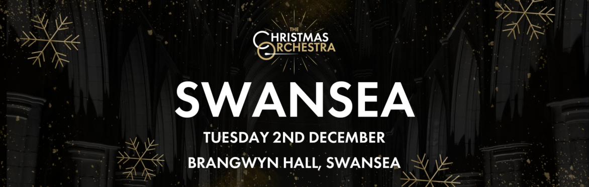 The Christmas Orchestra - Swansea