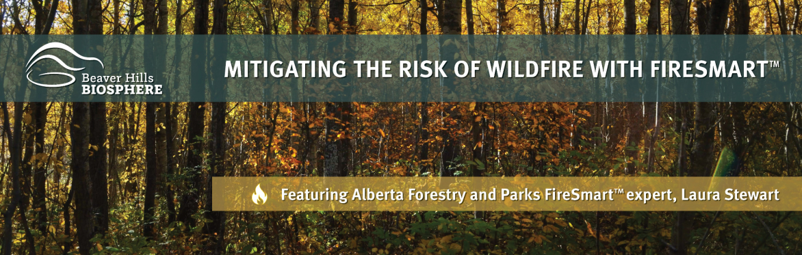 Attend the FireSmart workshop hosted by Beaver Hills Biosphere on October 3, 2024