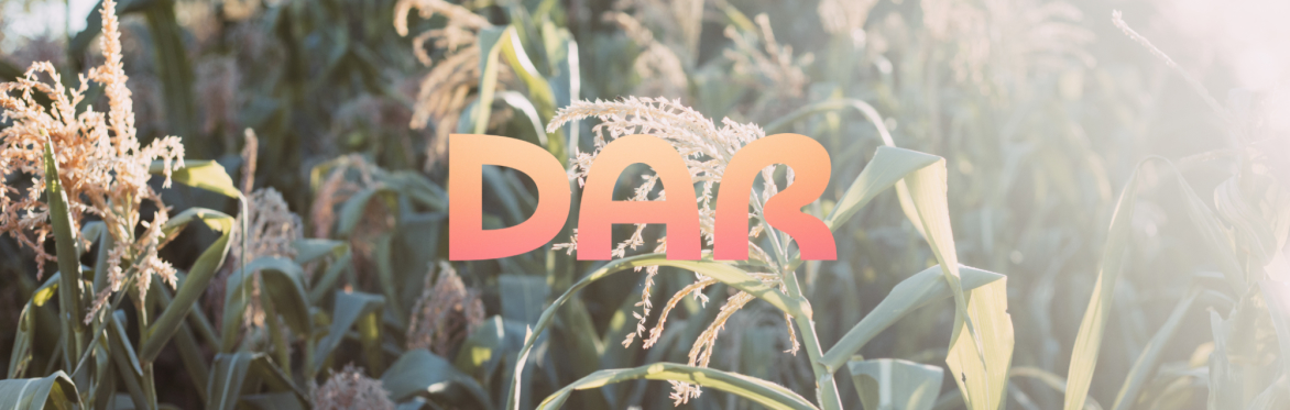 Food Solidarity Garden Volunteer Days