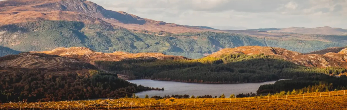 Shaping the Highland 2029 UK City of Culture Bid