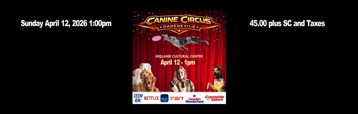 Canine Circus