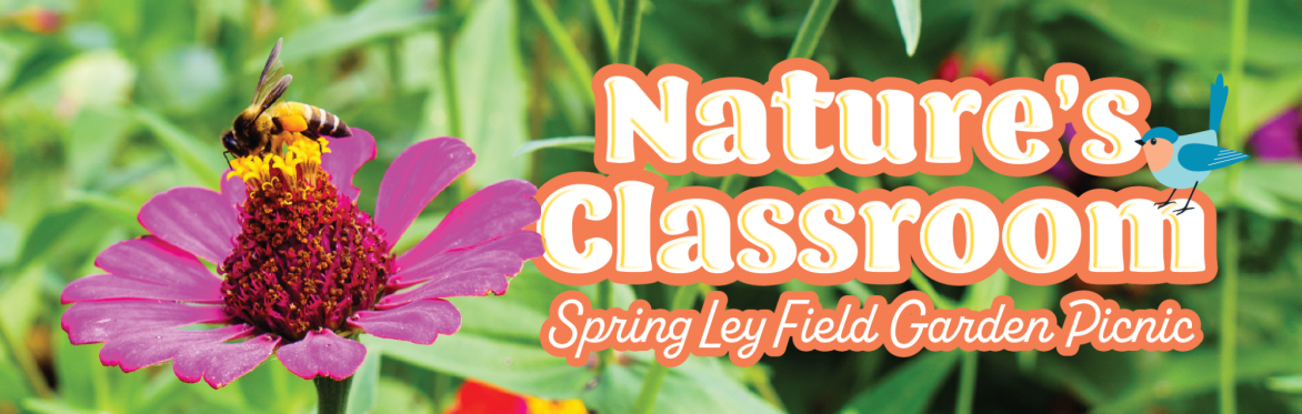 Nature's Classroom: Spring Ley Field Garden Picnic - Waitlist Only
