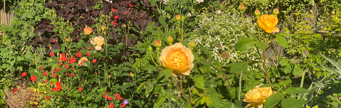 Jazz Garden Party