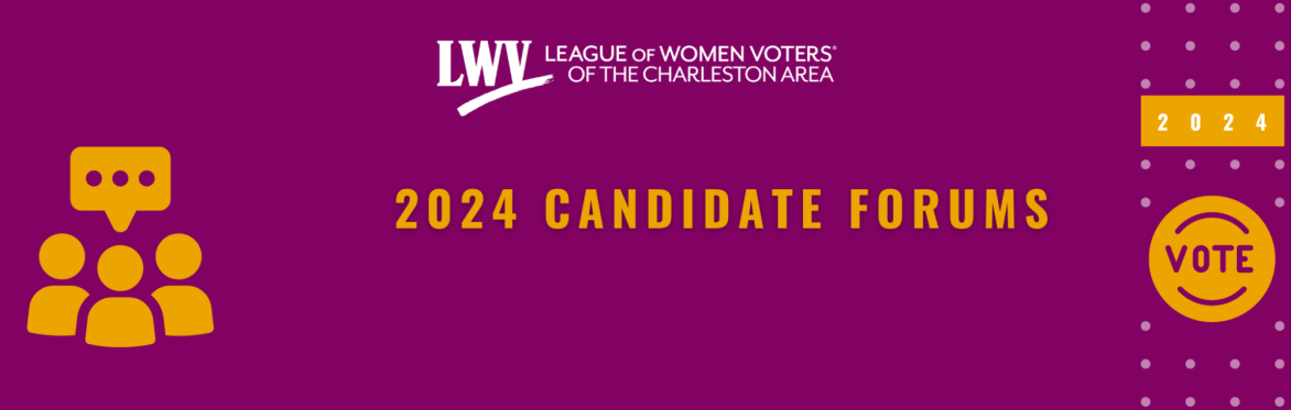 Charleston County Council District 7 (virtual)