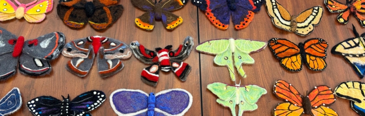 felted moths and butterflies