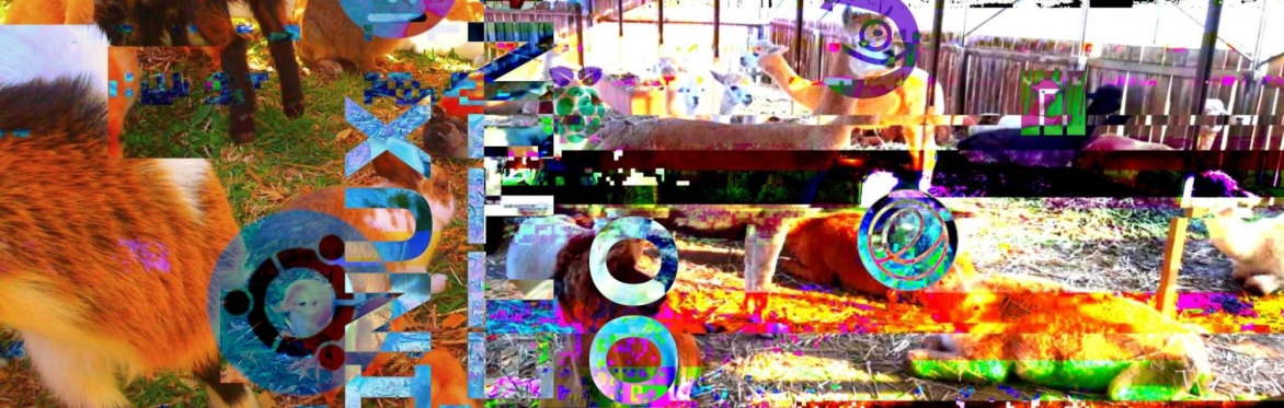 A split screen image of a rabbit and a llama petting zoo with colour inversions and pixelation effects. Linux distribution logos and the words "Linux Petting Zoo" are scattered across the image.