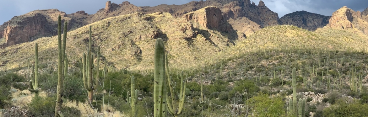 Tucson Facilitation Training: January 21-21, 2027 8:30a-5:00p