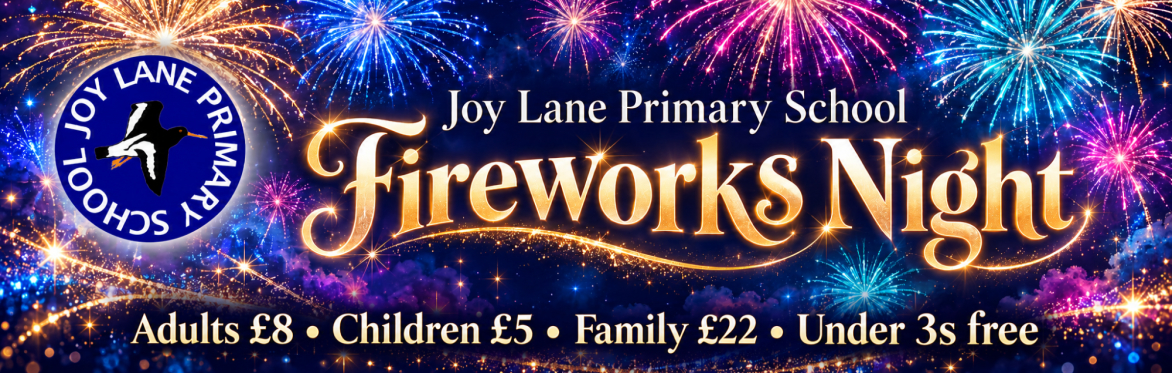 Joy Lane Primary School Firework event