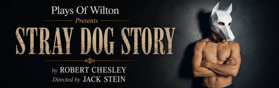 Stray Dog Story
