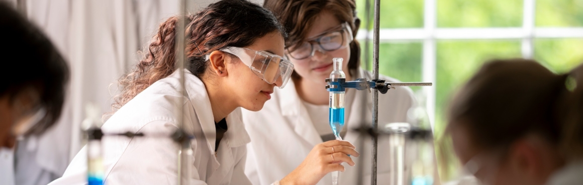 Chemistry at RIC