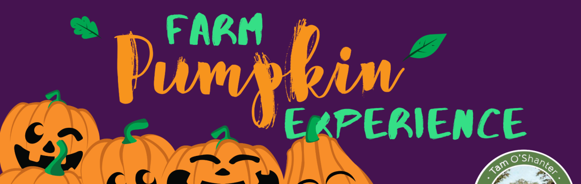Farm Pumpkin Experience