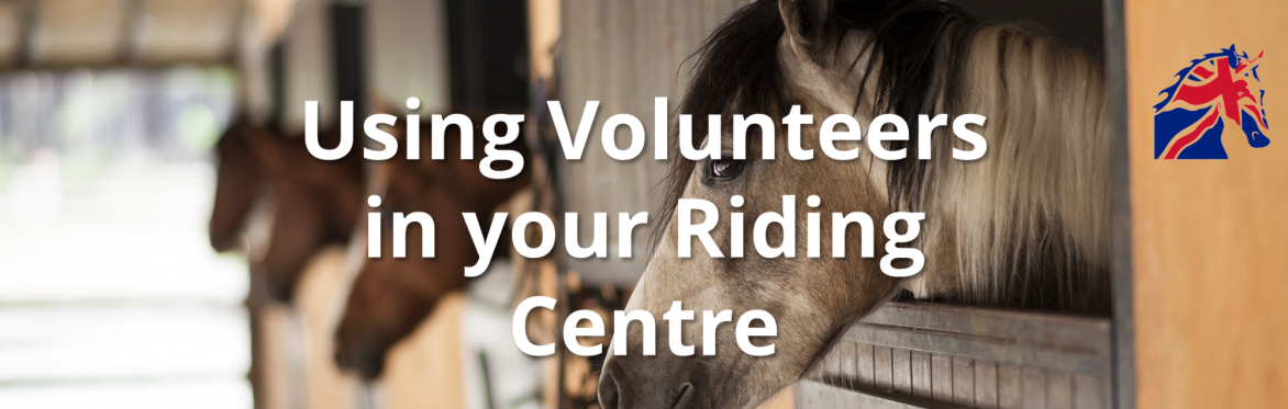 Using Volunteers within Your Team